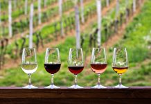 Vinferie på budsjett – er det mulig? Vinferie