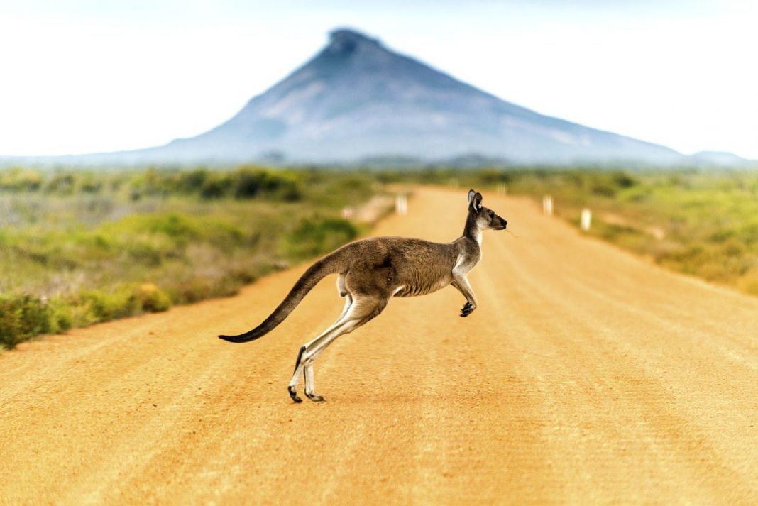 Australias beste og billigste severdigheter