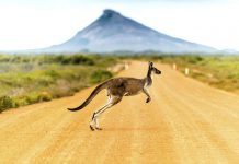 Australias beste og billigste severdigheter